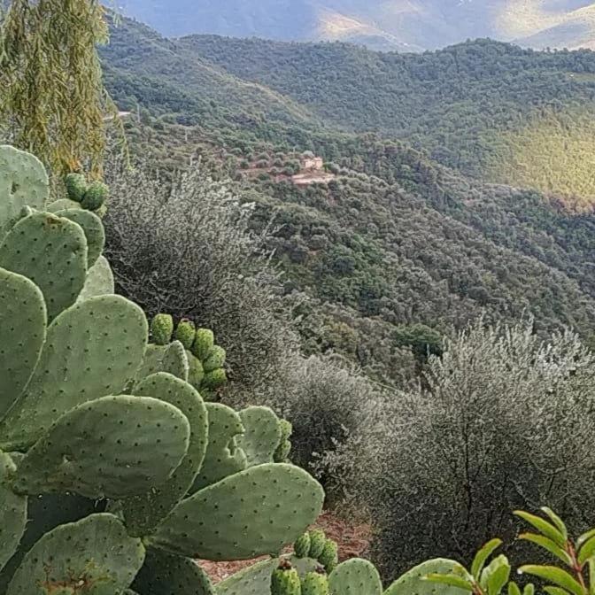 Appartamento Incantevole La Grotta Apricale Ngoại thất bức ảnh